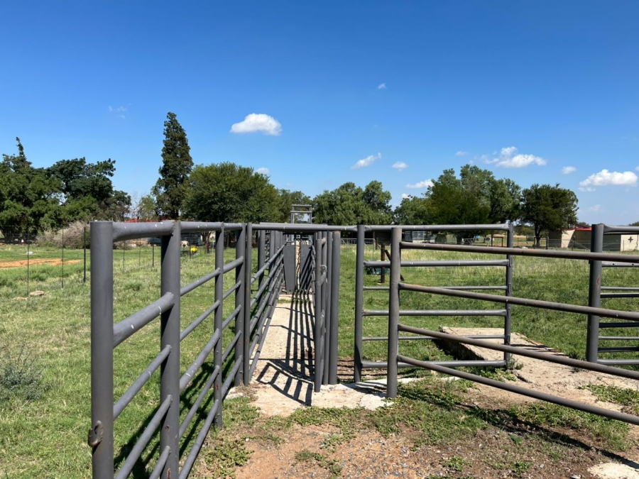 5 Bedroom Property for Sale in Brandfort Rural Free State